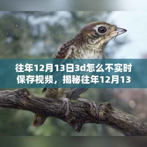 揭秘,为何往年12月13日3D技术未能实时保存视频的背后真相