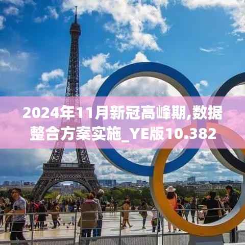 2024年11月新冠高峰期,数据整合方案实施_YE版10.382