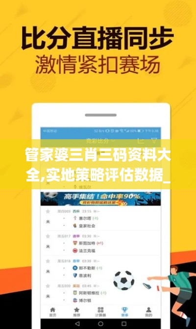 管家婆三肖三码资料大全,实地策略评估数据_Elite3.292