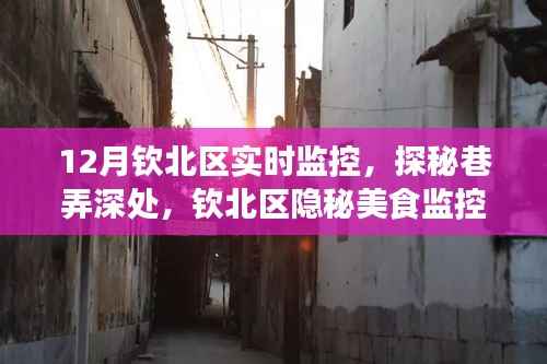 钦北区隐秘美食之旅,巷弄深处的实时监控探秘小吃店之旅