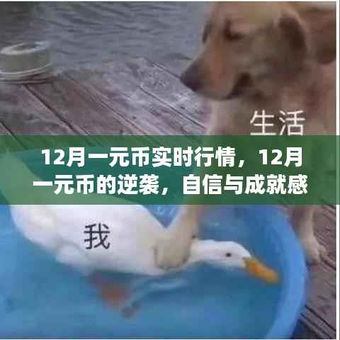 12月一元币逆袭之路,财富之旅的自信源泉与实时行情解析