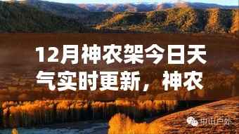 神农架深处宝藏揭秘,12月天气与小巷特色小店的奇妙交融