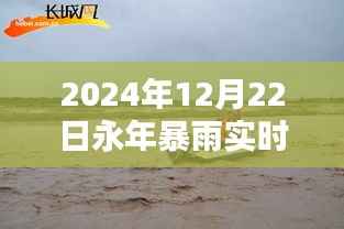 雨幕之下,永年暴雨纪实与实时动态