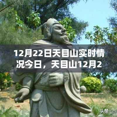 天目山12月22日实时情况探析,某某观点下的深度阐述