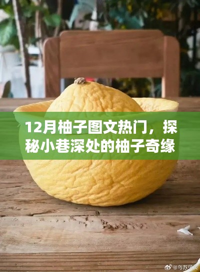 下里巴人 第4页