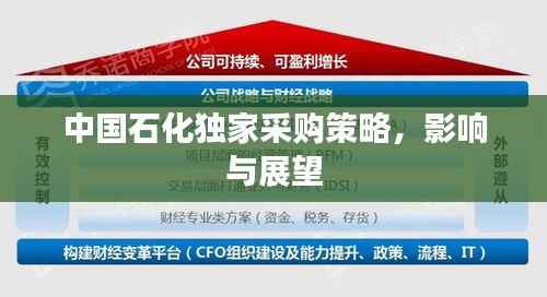 中国石化独家采购策略,影响与展望