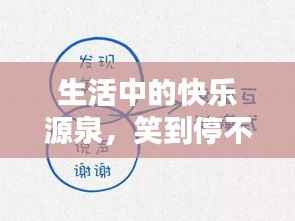 生活中的快乐源泉,笑到停不下来!