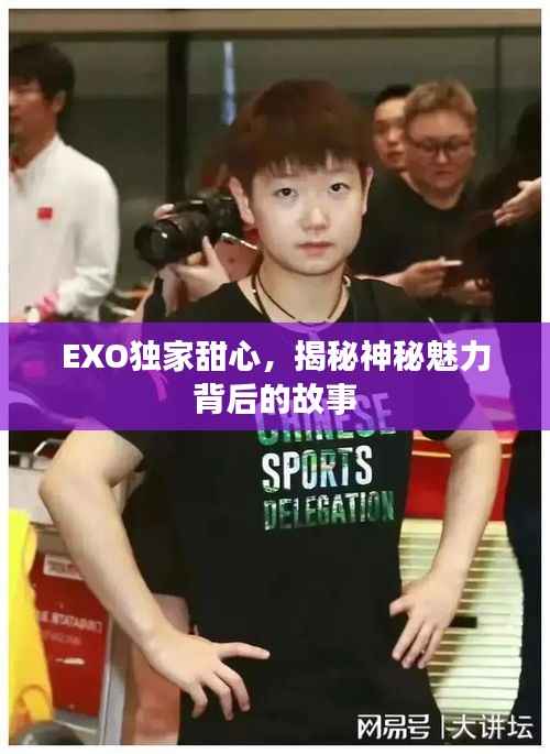 EXO独家甜心,揭秘神秘魅力背后的故事
