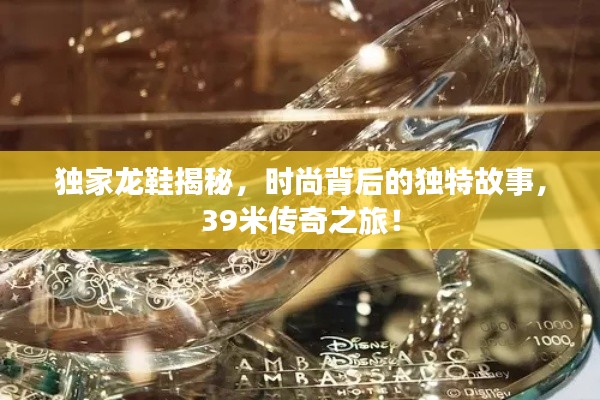 独家龙鞋揭秘,时尚背后的独特故事,39米传奇之旅!