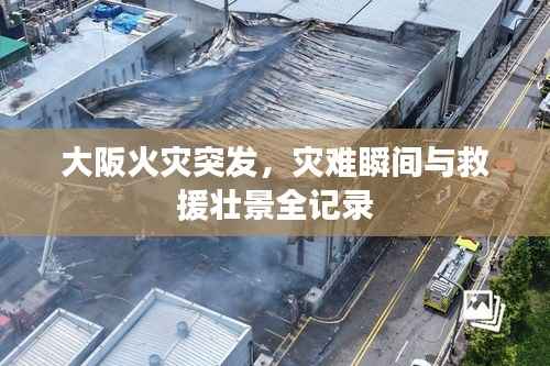 无独有偶 第3页