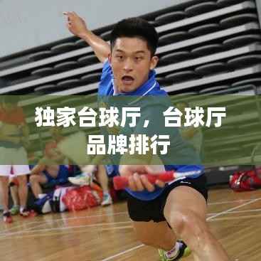 独家台球厅,台球厅品牌排行