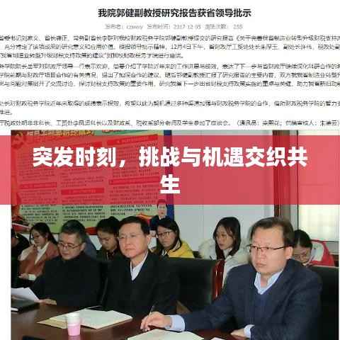 突发时刻,挑战与机遇交织共生