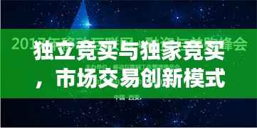 独立竞买与独家竞买,市场交易创新模式探索