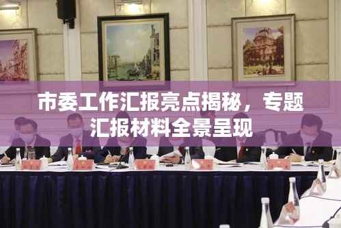 市委工作汇报亮点揭秘,专题汇报材料全景呈现