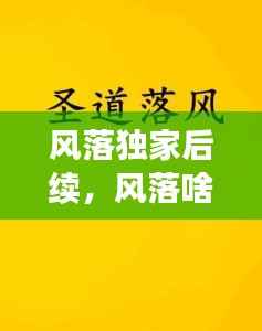 风落独家后续,风落啥意思