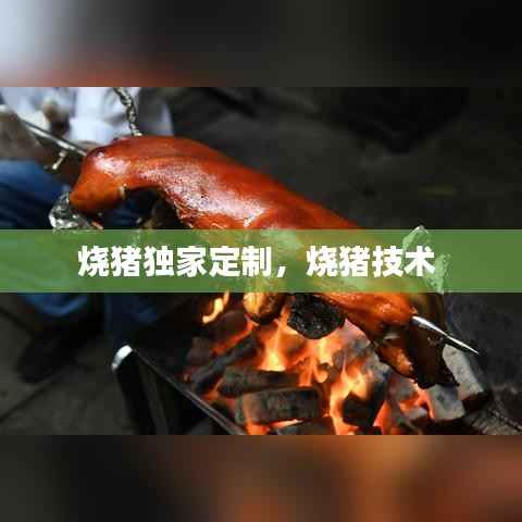烧猪独家定制,烧猪技术