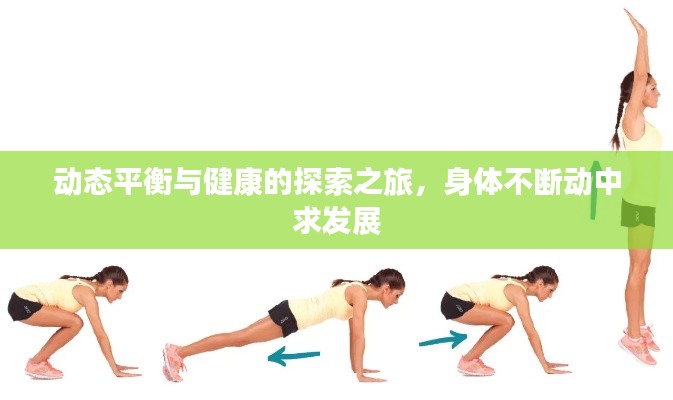 动态平衡与健康的探索之旅,身体不断动中求发展