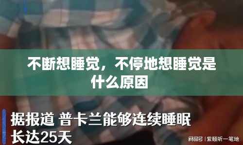 不断想睡觉,不停地想睡觉是什么原因
