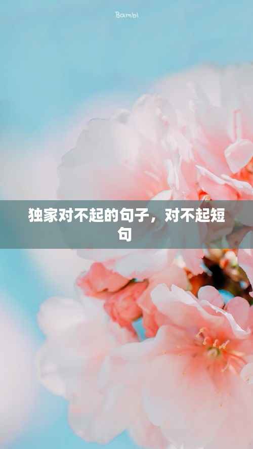 独家对不起的句子,对不起短句