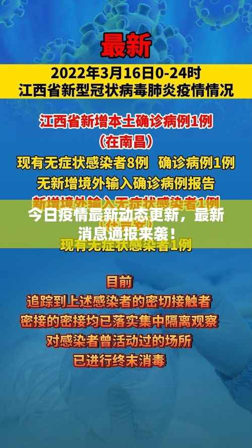 今日疫情最新动态更新,最新消息通报来袭!