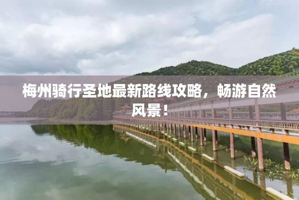 穷鸟入怀 第3页