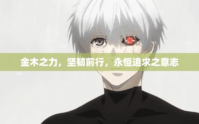 金木之力,坚韧前行,永恒追求之意志