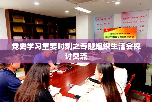 党史学习重要时刻之专题组织生活会探讨交流