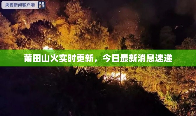 望其项背 第3页