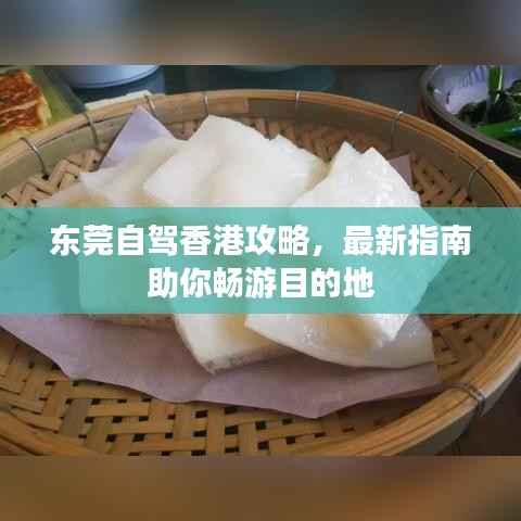 东莞自驾香港攻略,最新指南助你畅游目的地