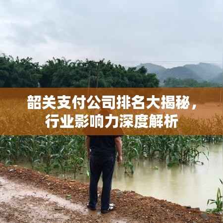 韶关支付公司排名大揭秘,行业影响力深度解析