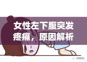 女性左下腹突发疼痛,原因解析、应对方法与预防措施