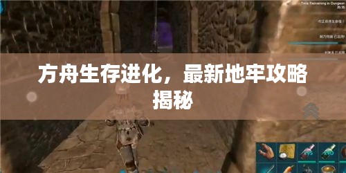 方舟生存进化,最新地牢攻略揭秘