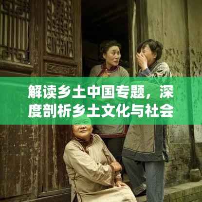 解读乡土中国专题,深度剖析乡土文化与社会根源