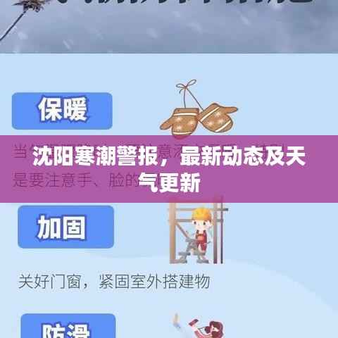 沈阳寒潮警报,最新动态及天气更新