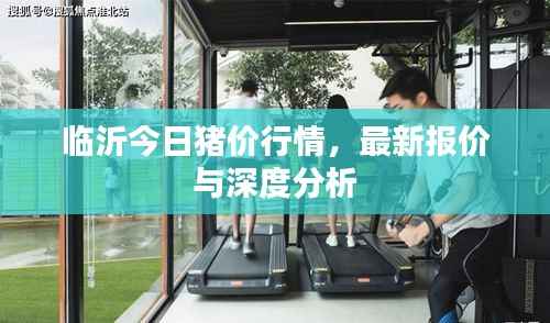 临沂今日猪价行情,最新报价与深度分析