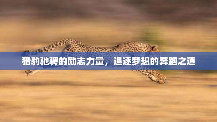 猎豹驰骋的励志力量,追逐梦想的奔跑之道