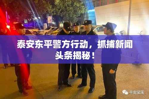 泰安东平警方行动,抓捕新闻头条揭秘!