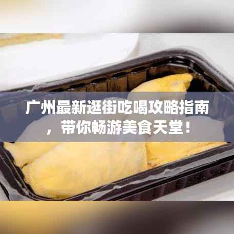 广州最新逛街吃喝攻略指南,带你畅游美食天堂!