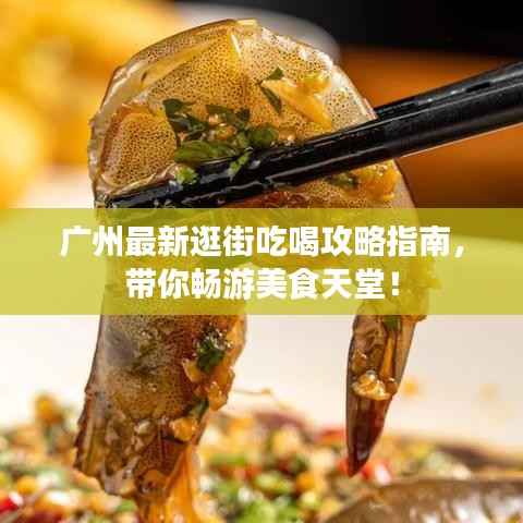广州最新逛街吃喝攻略指南,带你畅游美食天堂!