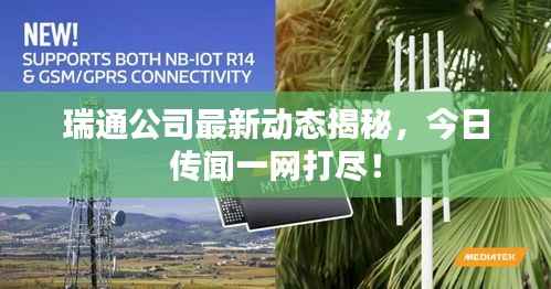 瑞通公司最新动态揭秘,今日传闻一网打尽!
