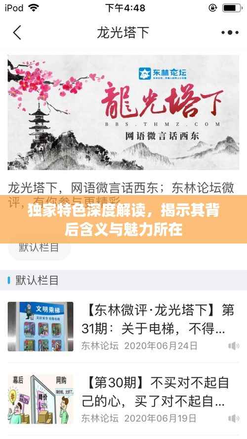 独家特色深度解读,揭示其背后含义与魅力所在