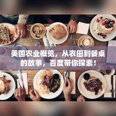 美国农业概览,从农田到餐桌的故事,百度带你探索!
