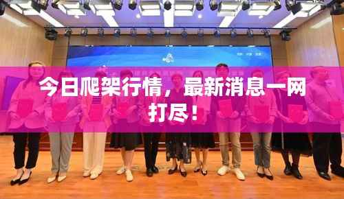 今日爬架行情,最新消息一网打尽!