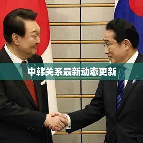 中韩关系最新动态更新