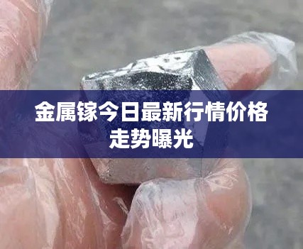 金属镓今日最新行情价格走势曝光