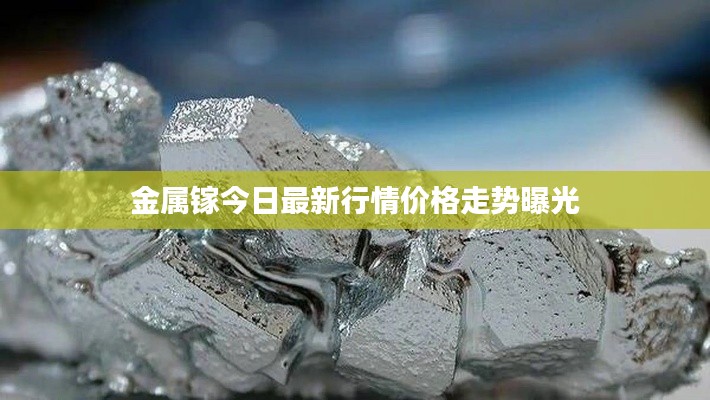 金属镓今日最新行情价格走势曝光