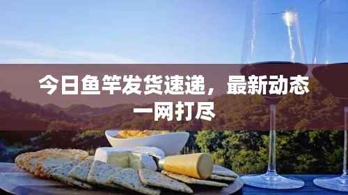 今日鱼竿发货速递,最新动态一网打尽