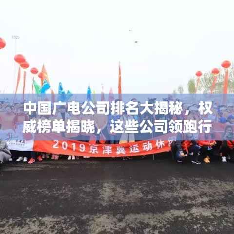 中国广电公司排名大揭秘,权威榜单揭晓,这些公司领跑行业!