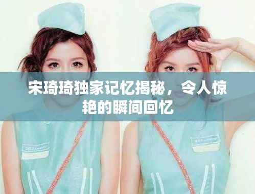 宋琦琦独家记忆揭秘,令人惊艳的瞬间回忆