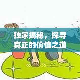 独家揭秘,探寻真正的价值之道